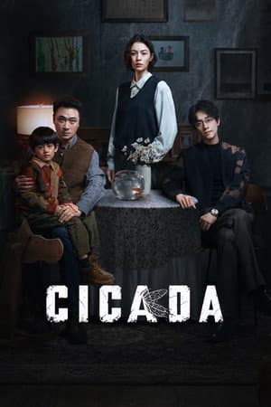 Cicada